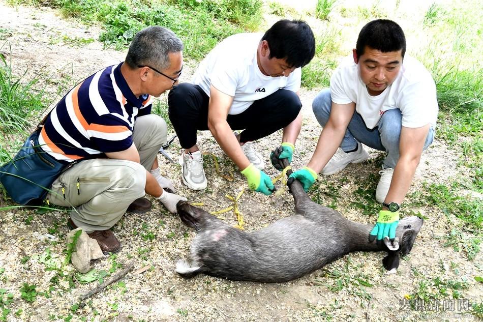 麦积区住房和城乡建设局最新动态速递