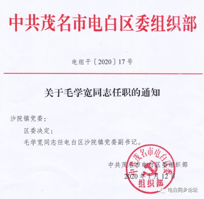 金堂镇村委会人事任命揭晓，开启乡村发展新篇章