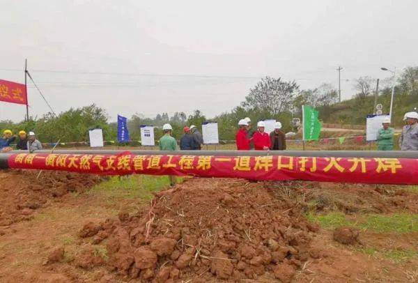 衡南县原种场最新项目，引领农业创新，推动地方经济发展