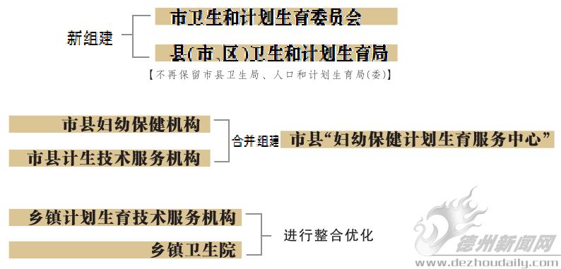 新市区计生委最新项目动态与策略实施概览