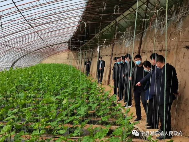 湘乐镇最新项目，引领地方发展的强大动力源泉