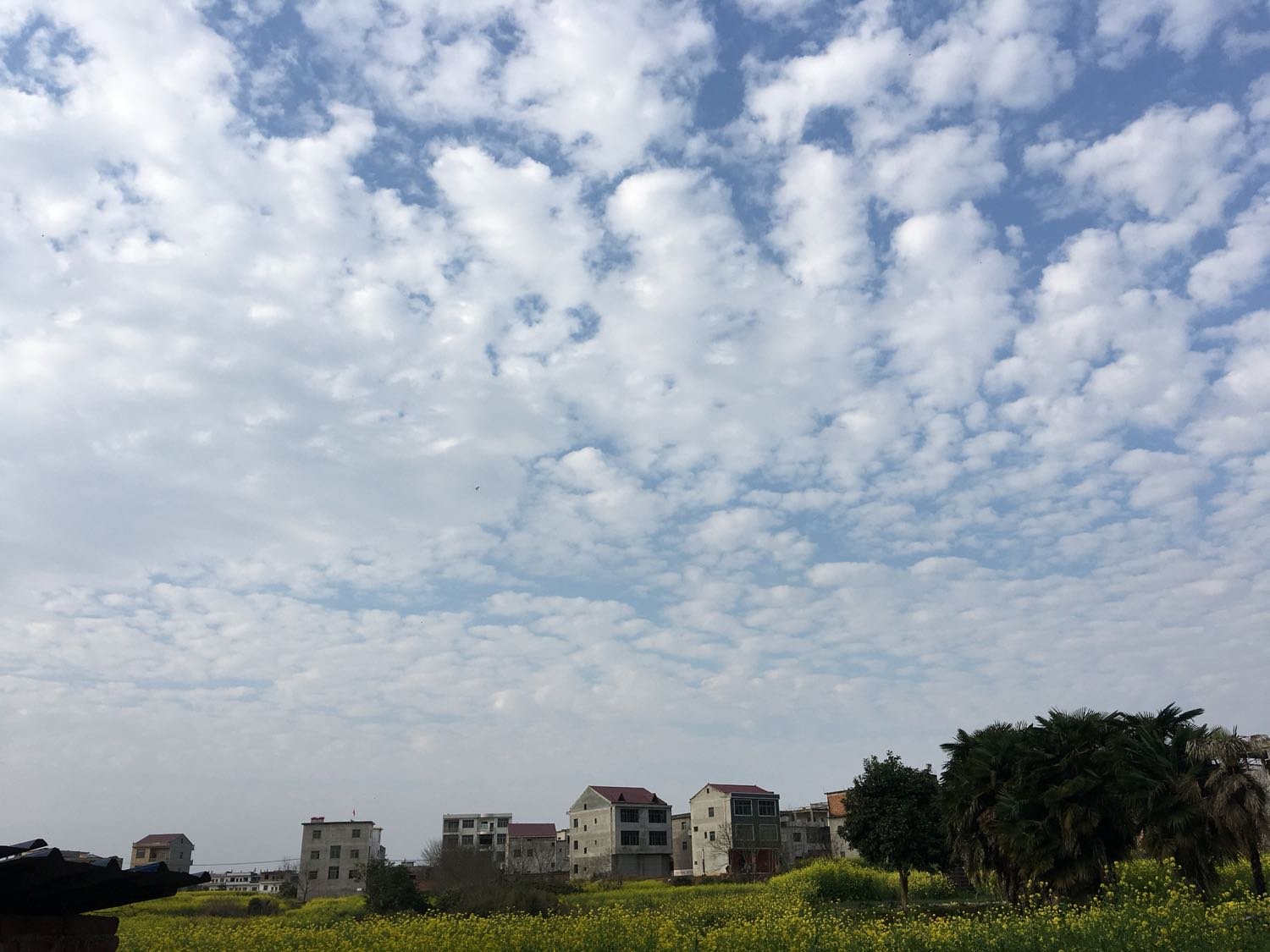 夏阁镇天气预报更新通知