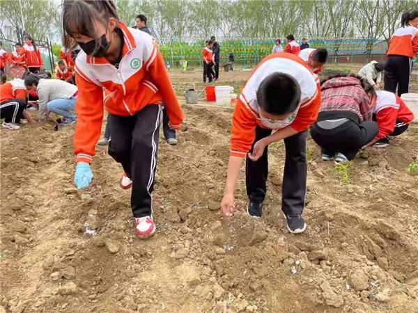 苏家屯区教育局新项目引领教育创新，塑造未来之光启航计划