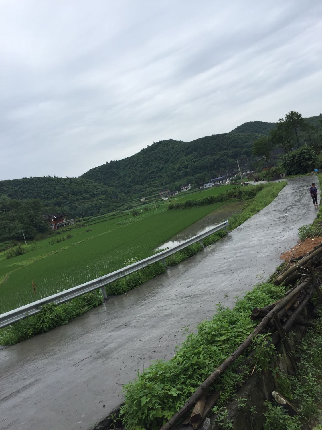 喜湾村民委员会最新天气预报