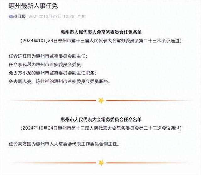 惠城区人民政府办公室人事任命重塑领导团队，开启区域发展新篇章