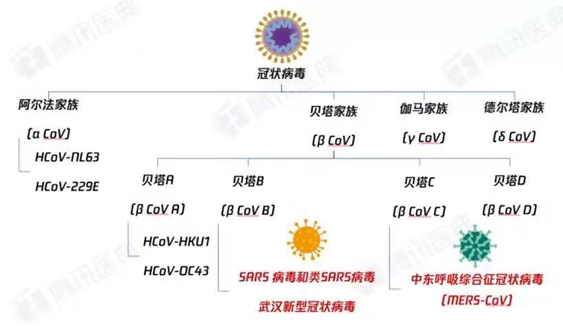 新澳最新内部资料,科学基础解析说明_钱包版23.897