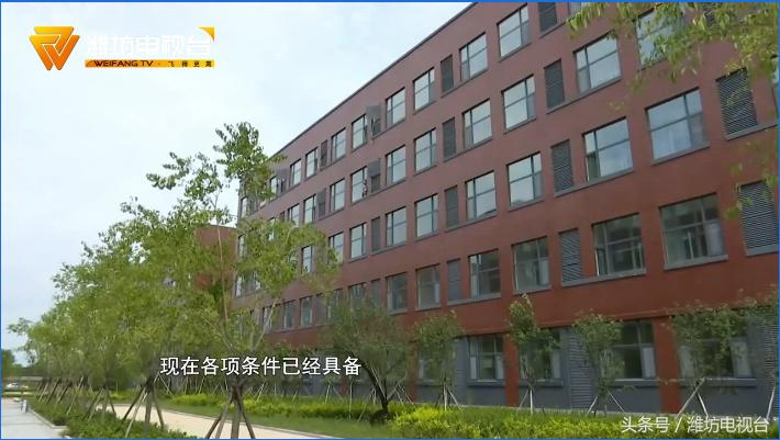 坊子区体育馆招聘信息与职业机会深度探讨