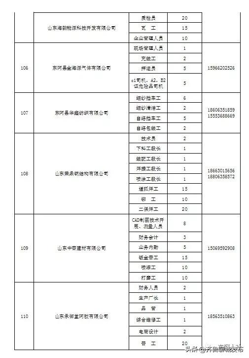 东阿县发展和改革局最新招聘概览