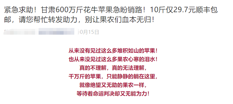 新澳门一码一肖一特一中水果爷爷,多元化方案执行策略_专家版66.299