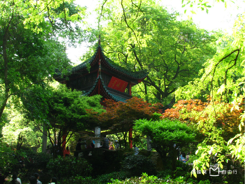 长沙市岳麓山-橘子洲旅游区全新开放时间，魅力展现探秘之旅