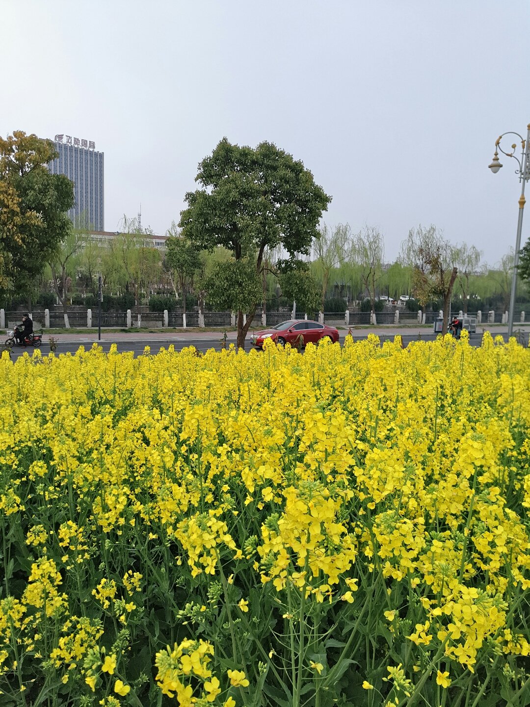 文亭街道天气预报更新通知