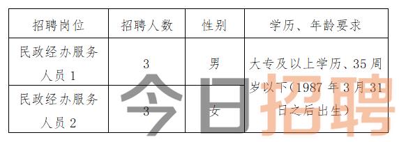 都江堰市发展和改革局最新招聘信息概览