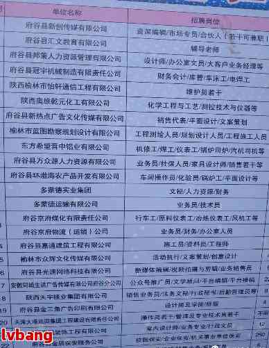 山亭区级托养福利事业单位最新项目，探索与实践