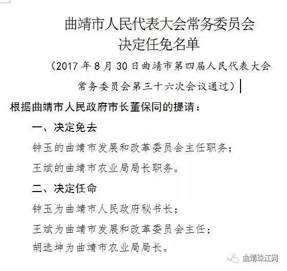 玉西村最新人事任命动态概览