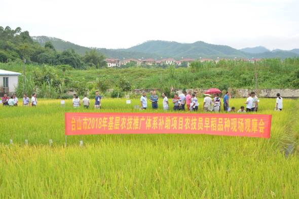 阿勒泰市农业农村局新项目引领农业现代化，乡村振兴再添新动力