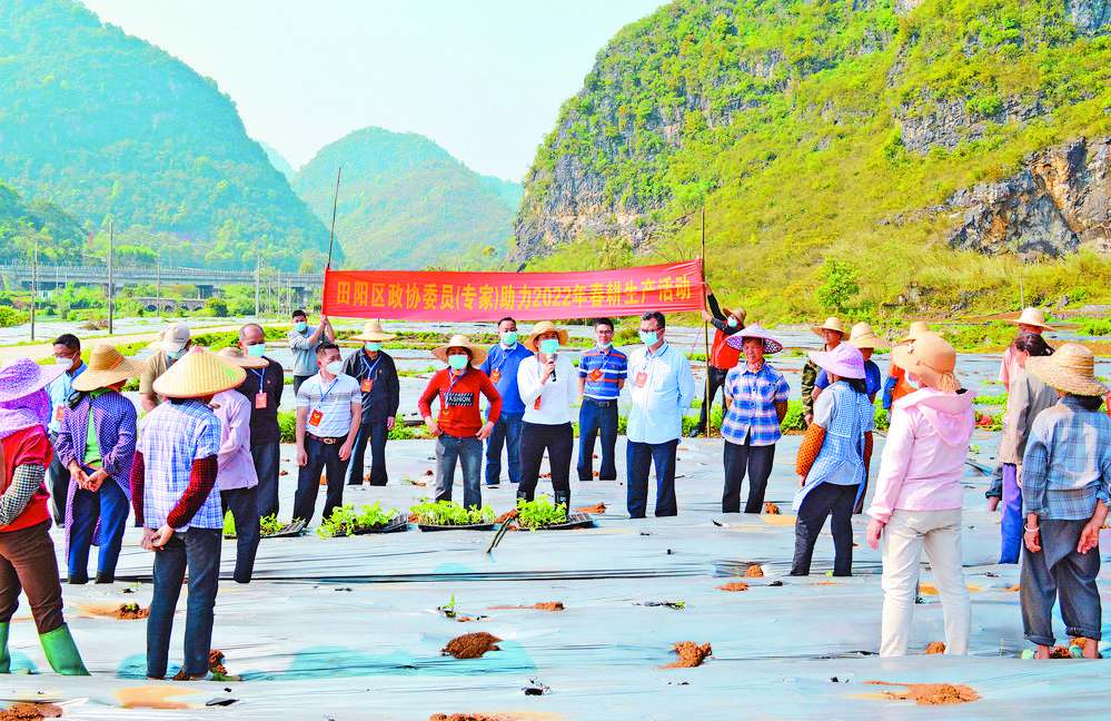 坡洪镇未来蓝图揭秘，最新发展规划引领繁荣未来