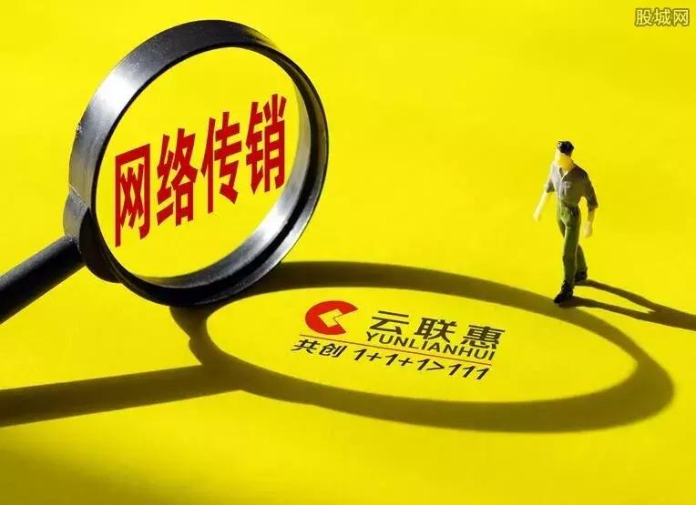 容县科技局等最新招聘信息全面解析