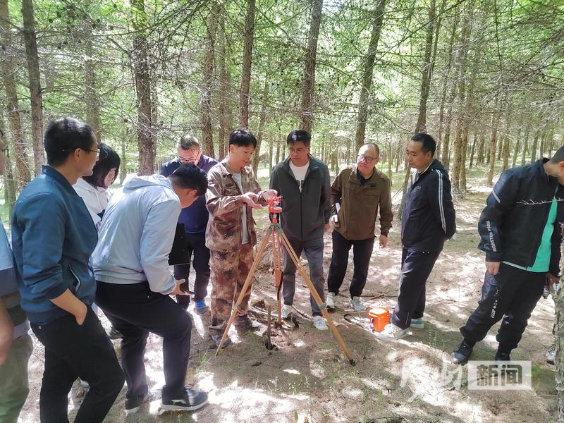 代钦塔拉林场最新新闻动态