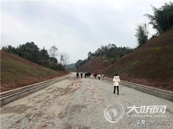 合江县公路运输管理事业单位最新项目研究报告揭秘