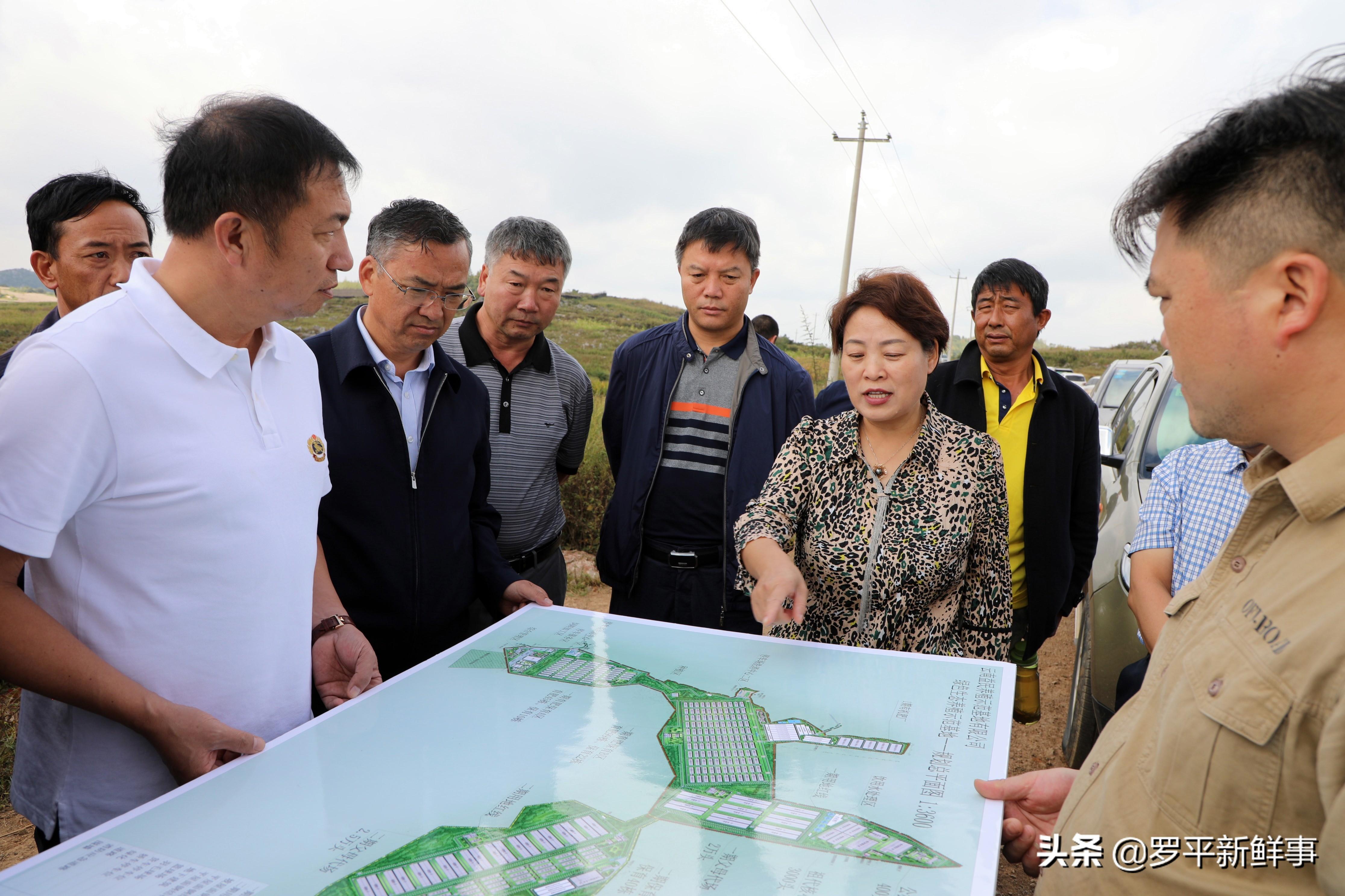 罗平镇最新项目，引领未来发展的新引擎