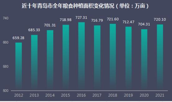 青岛市城市社会经济调查队最新招聘启事概览