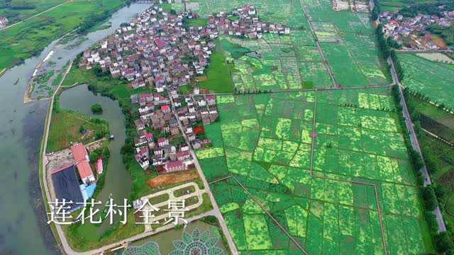 莲花村发展规划，塑造美丽乡村，推进可持续发展