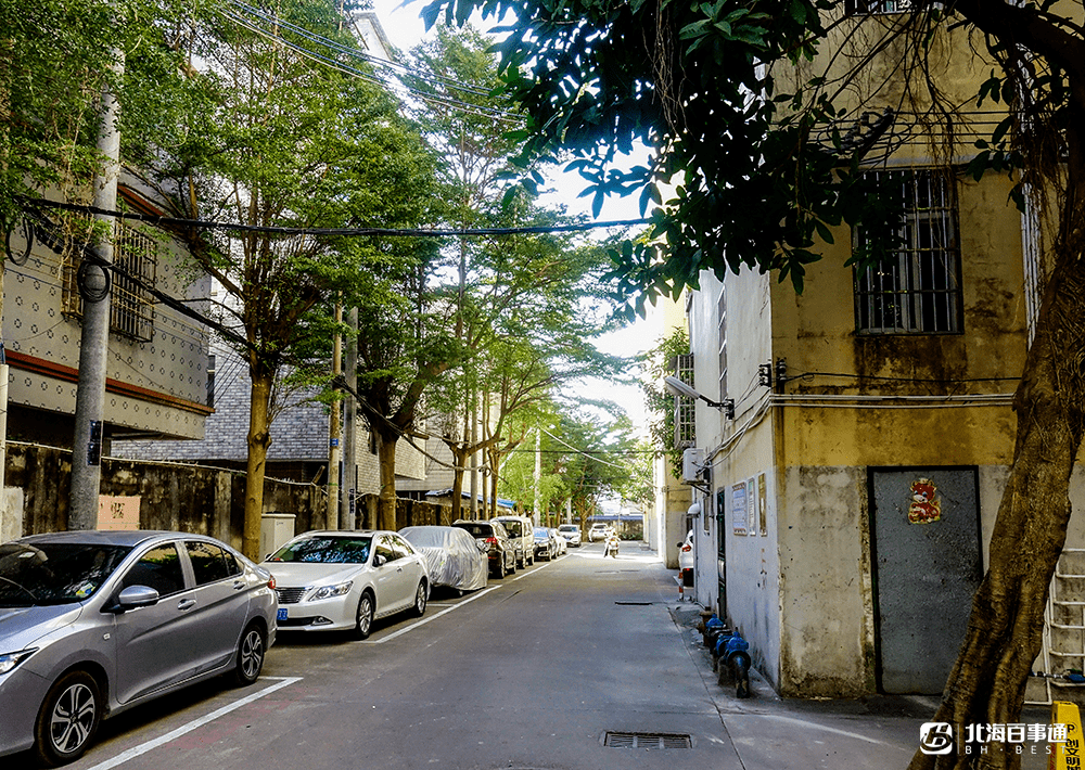 高德街道新项目，先锋力量引领城市发展之路