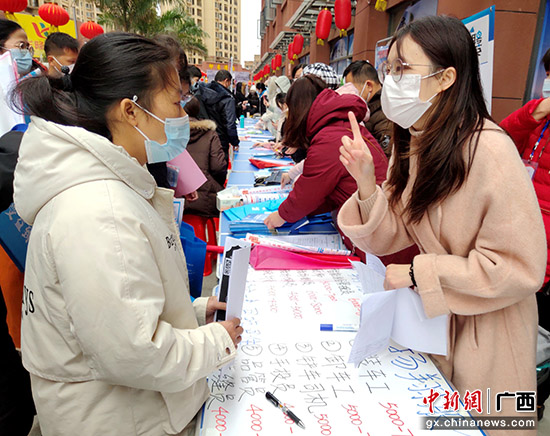 港南区科技局最新招聘信息汇总及解读