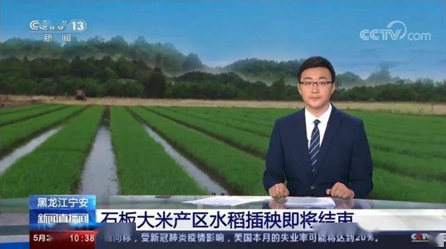 宁安市文化局最新新闻动态引发深远影响