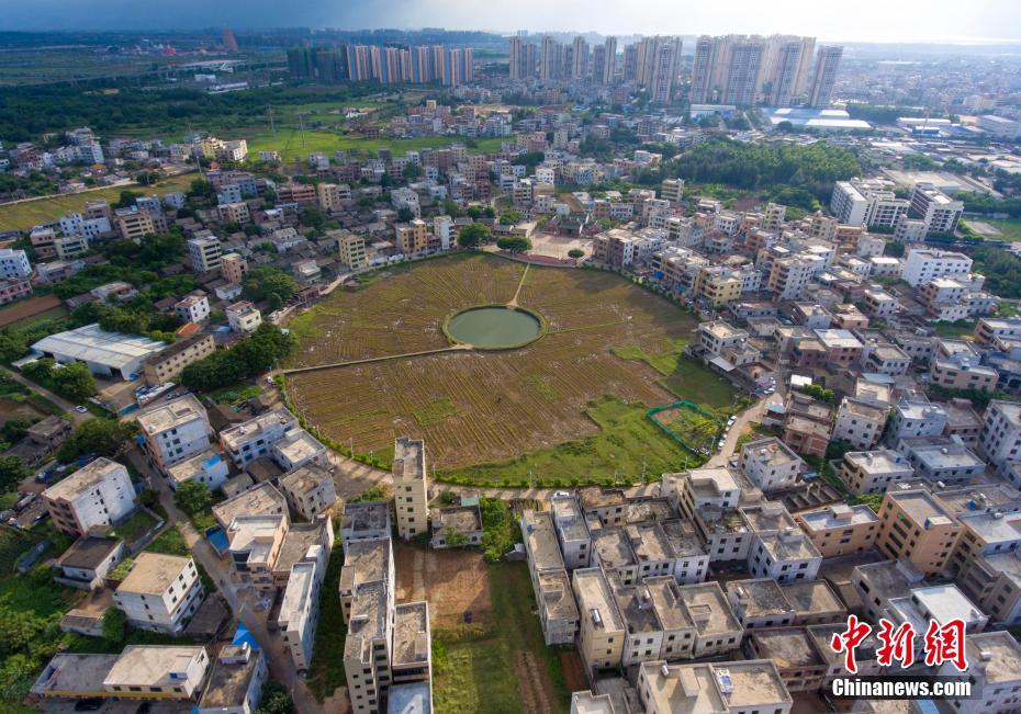 太极镇未来繁荣蓝图，最新发展规划揭秘