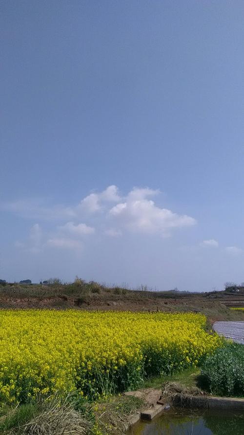 高都镇天气预报更新通知