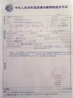 藁城市防疫检疫站人事调整，强化防疫检疫队伍，筑牢健康安全防线